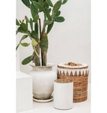 The Tribe Kruk - Natuurlijk Wit