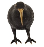 Pole To Pole H28 Kiwi Vogel M