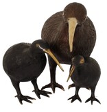 Pole To Pole H28 Kiwi Vogel M