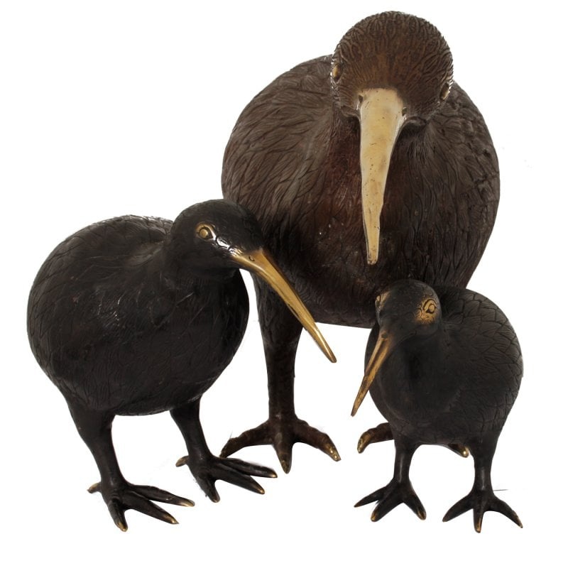 Pole To Pole H28 Kiwi Vogel M