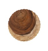 De Paramo Kruk - Naturel