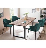 SalesFever Set van 2 fauteuils donkergroen