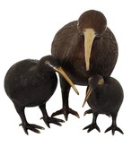 KantoormeubelenPlus H29 Kiwi Vogel S