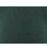 SalesFever Set van 2 eetkamerstoelen in groen fluweel