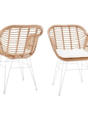 SalesFever Set van 2 fauteuils in rotan look, naturel