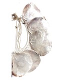 KantoormeubelenPlus I22 schelp ketting