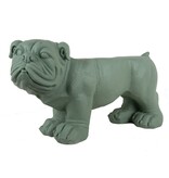 Leitmotiv Buitenbank hond