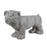 Leitmotiv Buitenbank hond