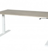 Schaffenburg Icons T-poot bureau, zit-zit (62-85cm) hoogte verstelbaar dmv slinger met 160x80cm 20mm blad en frame