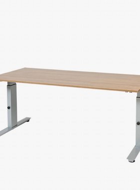 Avitus vergadertafel 120x100