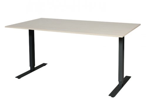 Electric-T bureau, zit-sta (69-116cm) hoogte verstelbaar dmv elektromotoren met 160x90cm 20mm blad en frame