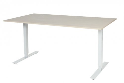 Electric-T bureau, zit-sta (69-116cm) hoogte verstelbaar dmv elektromotoren met 160x90cm 20mm blad en frame