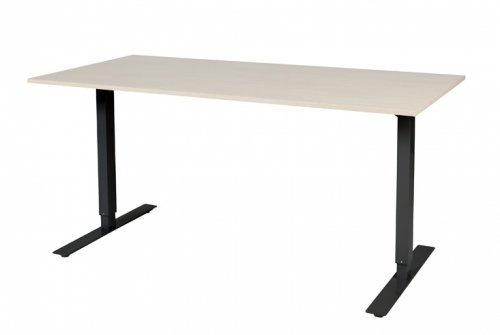 Electric-T bureau, zit-sta (69-116cm) hoogte verstelbaar dmv elektromotoren met 160x80cm 20mm blad en frame