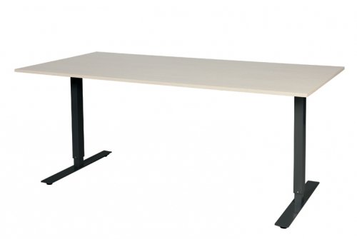 Electric-T bureau, zit-sta (69-116cm) hoogte verstelbaar dmv elektromotoren met 180x90cm 20mm blad en frame