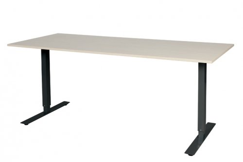 Electric-T bureau, zit-sta (69-116cm) hoogte verstelbaar dmv elektromotoren met 180x80cm 20mm blad en frame