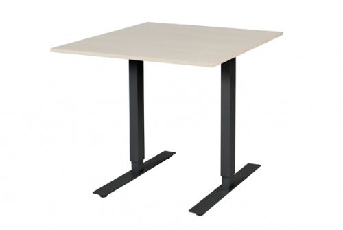 Electric-T bureau, zit-sta (69-116cm) hoogte verstelbaar dmv elektromotoren met 80x90cm 20mm blad en frame