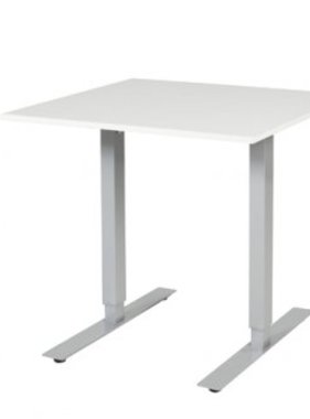 Electric-T EV ZS 80x80