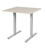 Electric-T bureau, zit-sta (69-116cm) hoogte verstelbaar dmv elektromotoren met 80x80cm 20mm blad en frame