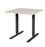 Electric-T bureau, zit-sta (69-116cm) hoogte verstelbaar dmv elektromotoren met 80x80cm 20mm blad en frame