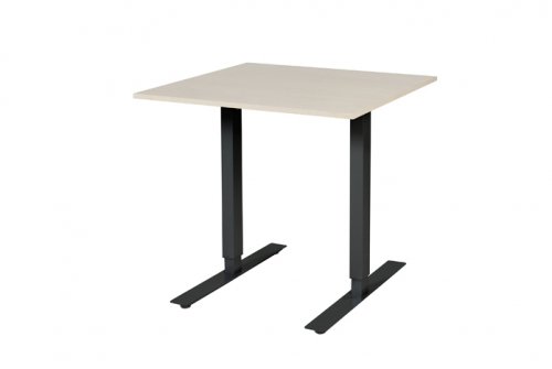 Electric-T bureau, zit-sta (69-116cm) hoogte verstelbaar dmv elektromotoren met 80x80cm 20mm blad en frame