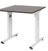 Schaffenburg T-lines bureau, hoogte instelbaar (61-90cm) met 80x80cm 20mm blad en t-poot frame met rechte tenen