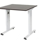 T-lines bureau, hoogte instelbaar (61-90cm) met 80x80cm 20mm blad en t-poot frame met rechte tenen