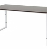 Domino Plus bureau, hoogte instelbaar (62-85cm) met 160x80cm 'zwevend' 20mm blad en O-poot frame