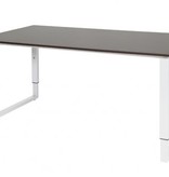 Domino Plus bureau, hoogte instelbaar (62-85cm) met 160x90cm 'zwevend' 20mm blad en O-poot frame