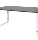 Schaffenburg Domino Plus bureau, hoogte instelbaar (62-85cm) met 160x90cm 'zwevend' 20mm blad en O-poot frame