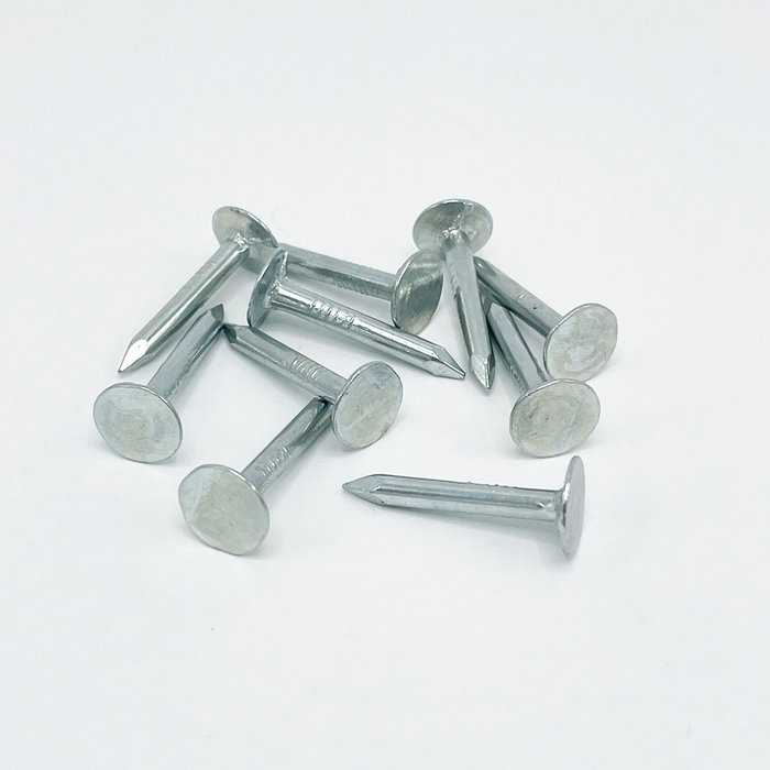 Rheinzink Gegalvaniseerde asfaltnagel 3x25 mm (per 10 stuks)
