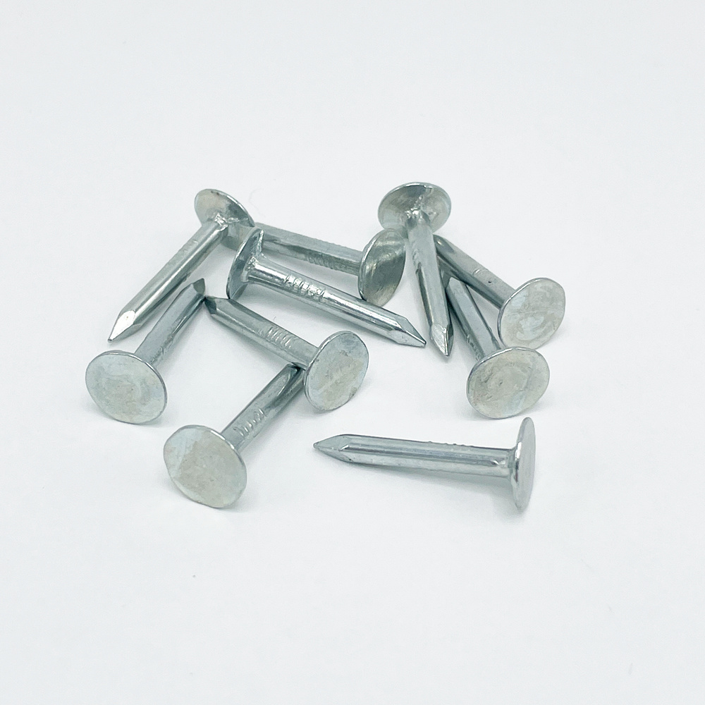 Rheinzink Gegalvaniseerde asfaltnagel 3x25 mm (per 10 stuks)