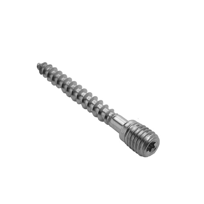 Rheinzink Schroefstift RVS M10x70 mm t.b.v. scharnierbeugel - houtmontage