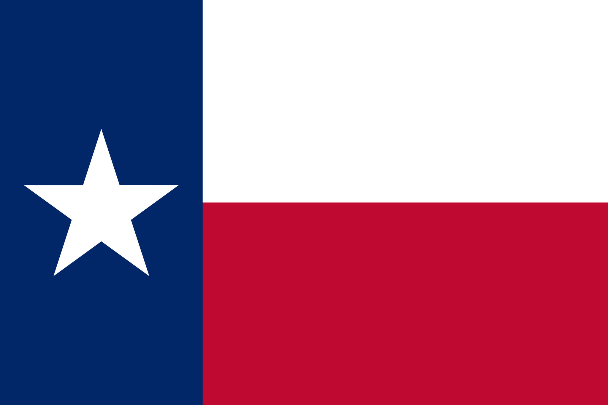 Texas flag vector - country flags