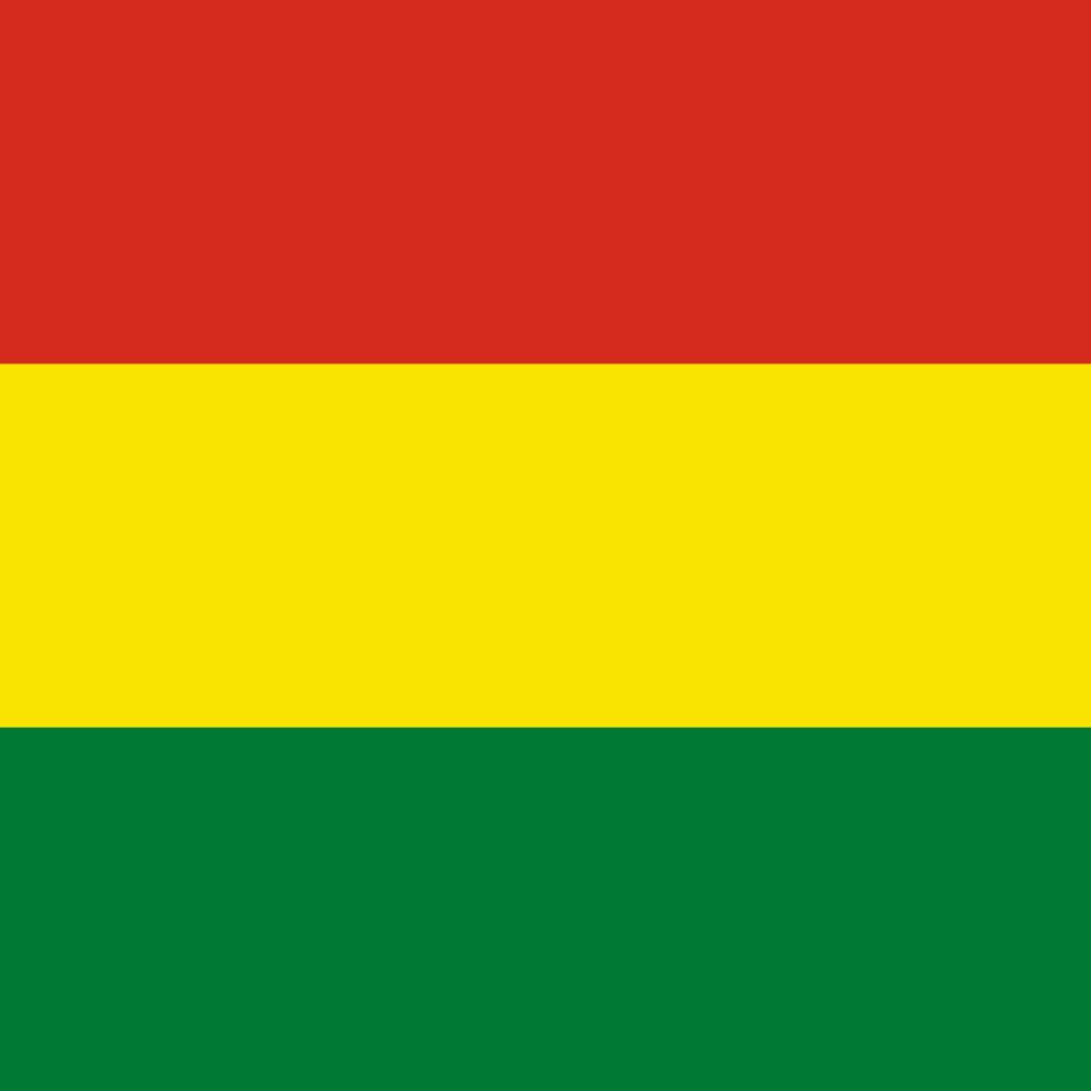 Flag Of Bolivia 