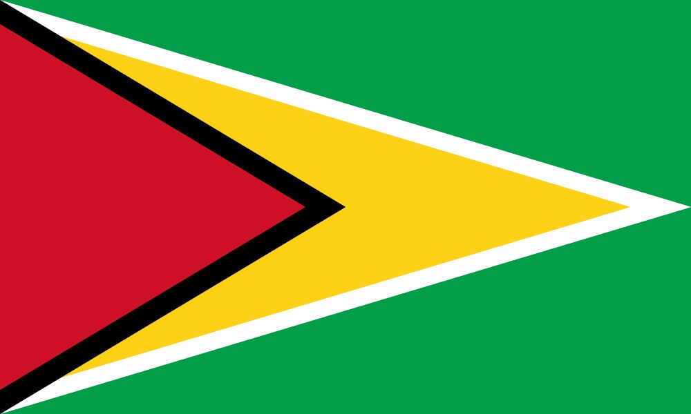 Flag Of Guyana Image And Meaning Guyanese Flag Country Flags