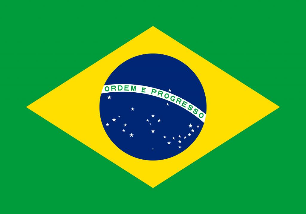 Brazil flag icon - country flags