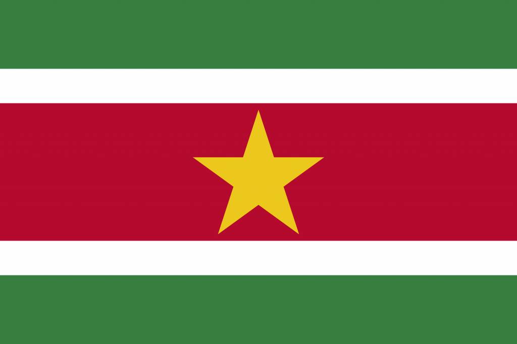 Suriname Vlag Afbeelding Country Flags