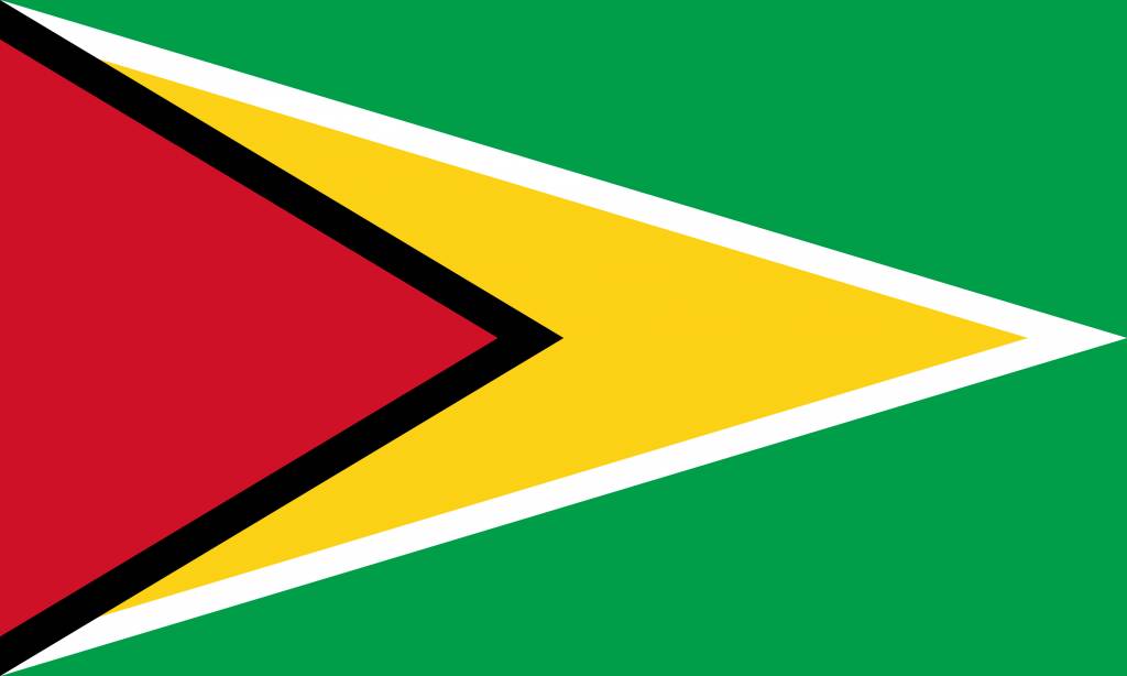 Guyana Flag Coloring Country Flags