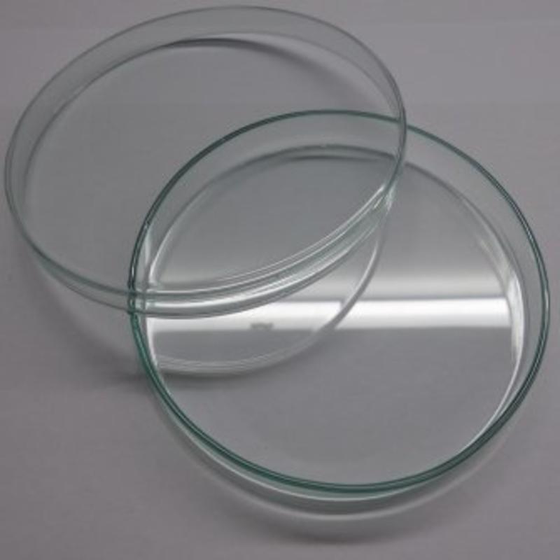 aquaRevitaliser Glaspetrischale mit Deckel diam.120mm