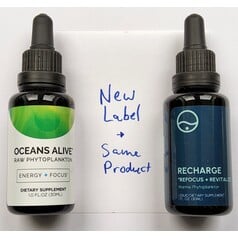 Marine-Phytoplankton