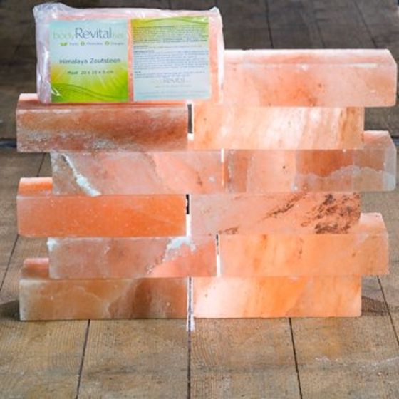 Himalayan Salt Bricks