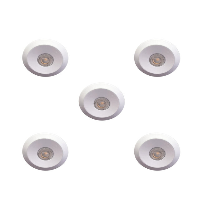 Set van 5 Microledjes Maduro, dimbaar,  1,2 Watt, Witte uitvoering, inclusief trafo/driver IP44