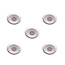 Set van 5 Microledjes Maduro, dimbaar,  1,2 Watt, Witte uitvoering, inclusief trafo/driver IP44