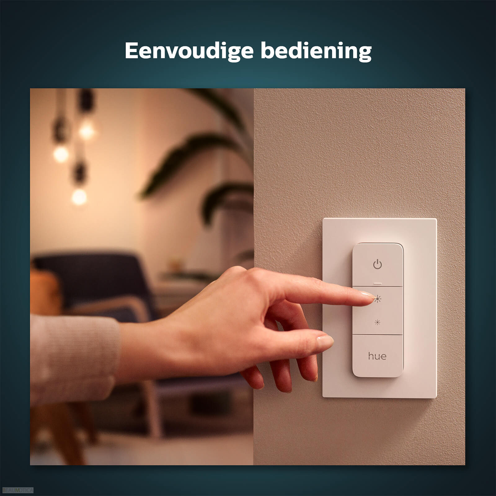 Hue Dimmer en Schakelaar 123ledspots BV