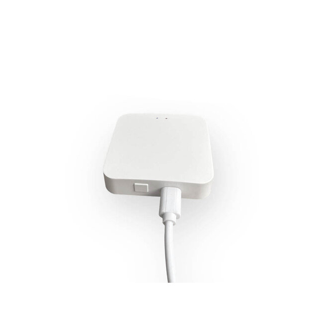 Zigbee Bridge / gateway