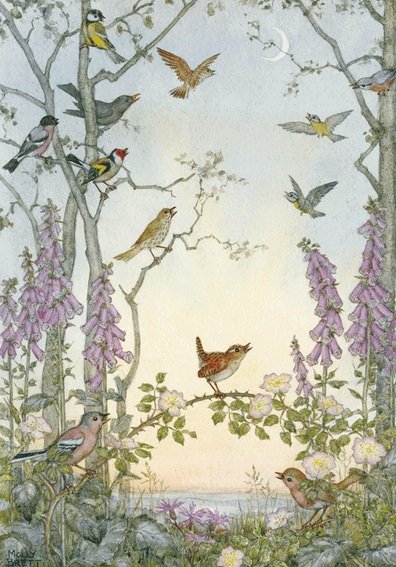 Molly Brett, Dawn Chorus PCE 061