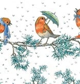 Molly Brett, Three Robins at a Branch at Christmas PCE 080