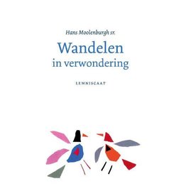 Hans Moolenburgh sr. Wandelen in verwondering