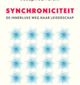 Joseph Jaworsky, Synchroniciteit