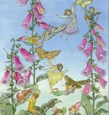 Medici Molly Brett, Fairies and Foxgloves, PCE 176